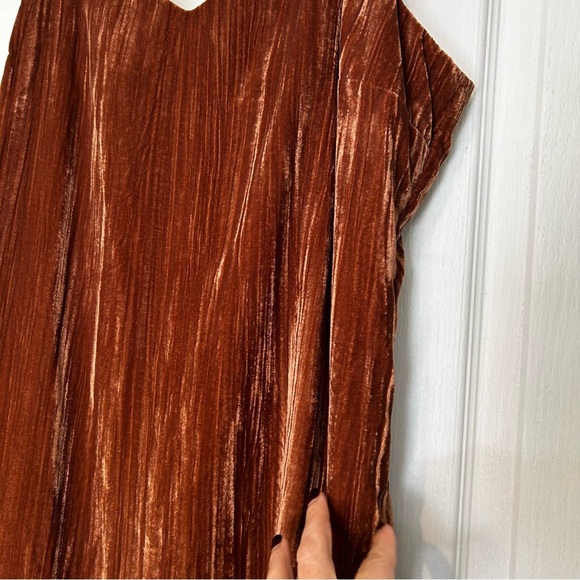 Nordstrom Elodie Velvet dress large nwt - Picture 5 of 14
